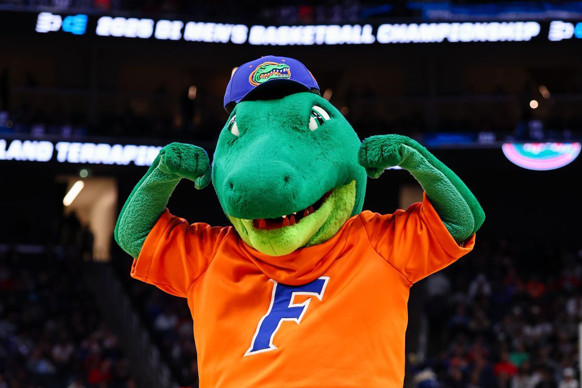 Florida Gators at Kentucky Wildcats Womens Volleyball at Memorial Coliseum KY