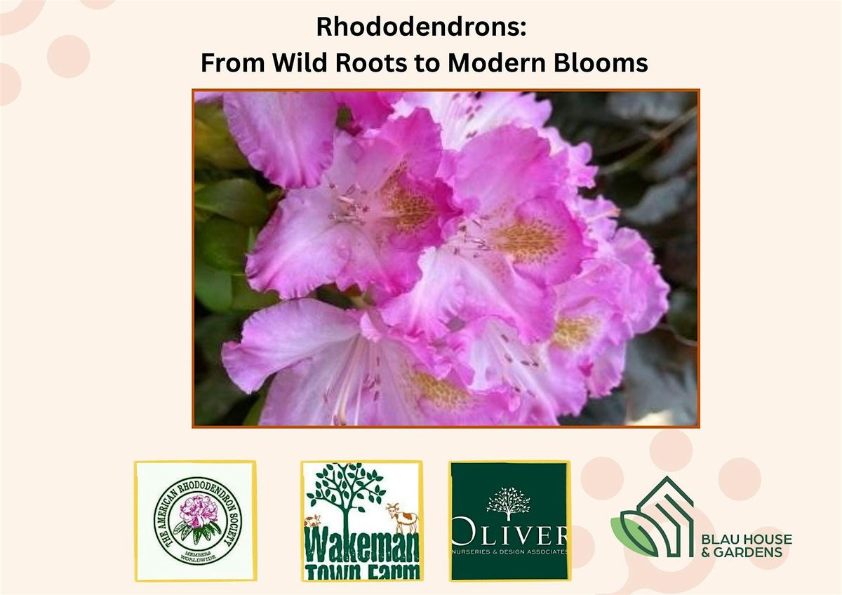 Rhododendrons:  From Wild Roots to Modern  Blooms