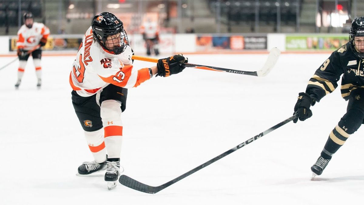 Rochester Institute of Technology Tigers at Lindenwood Lions Womens Hockey