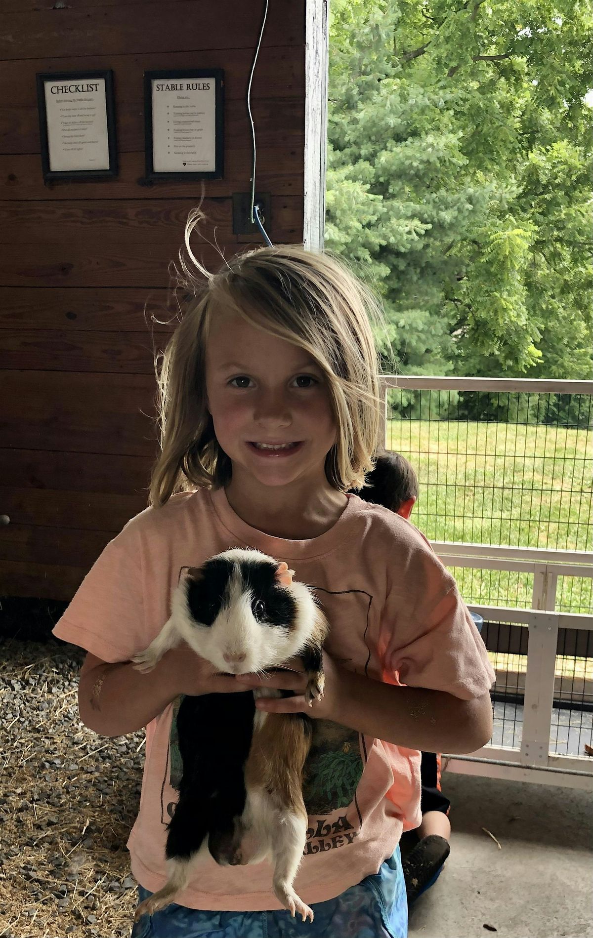Animal-Lover's Mini Day Camp (Fridays this Summer)