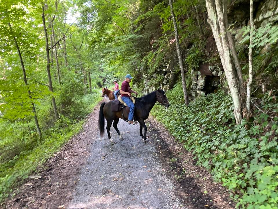 Horseback Scavenger Hunt & Trail Ride 7000 Sanders Gate Rd