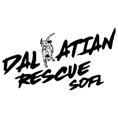 Dalmatian Rescue of South Florida