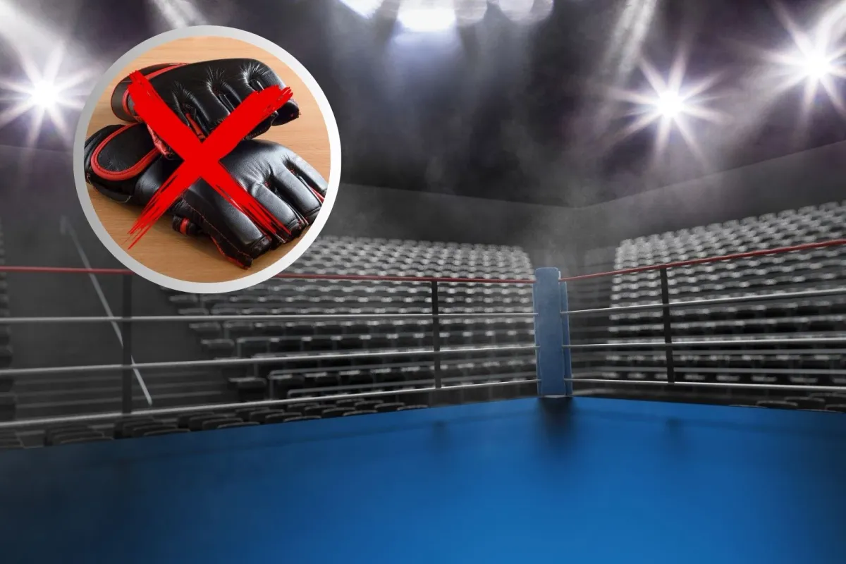 Fusion Fight League