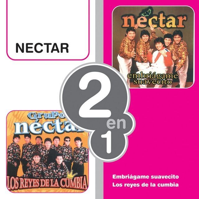 Grupo N\u00e9ctar, Deyvis Orosco, Grupo Nectar in Salt Lake City