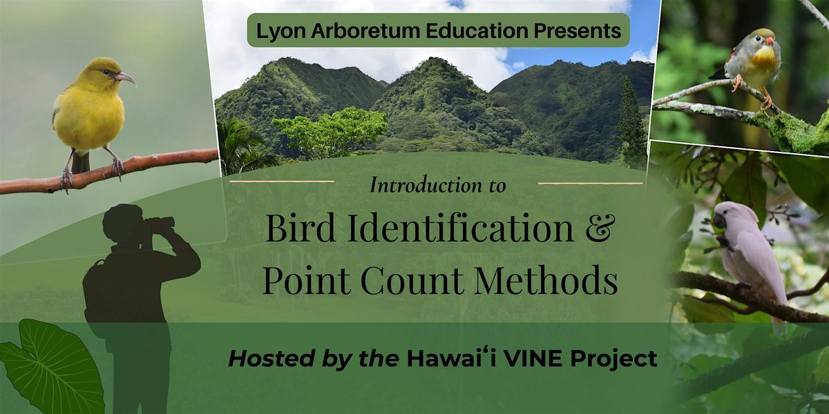 Manoa Method Introduction to Bird Identification & Point Count Methods at Lyon ...