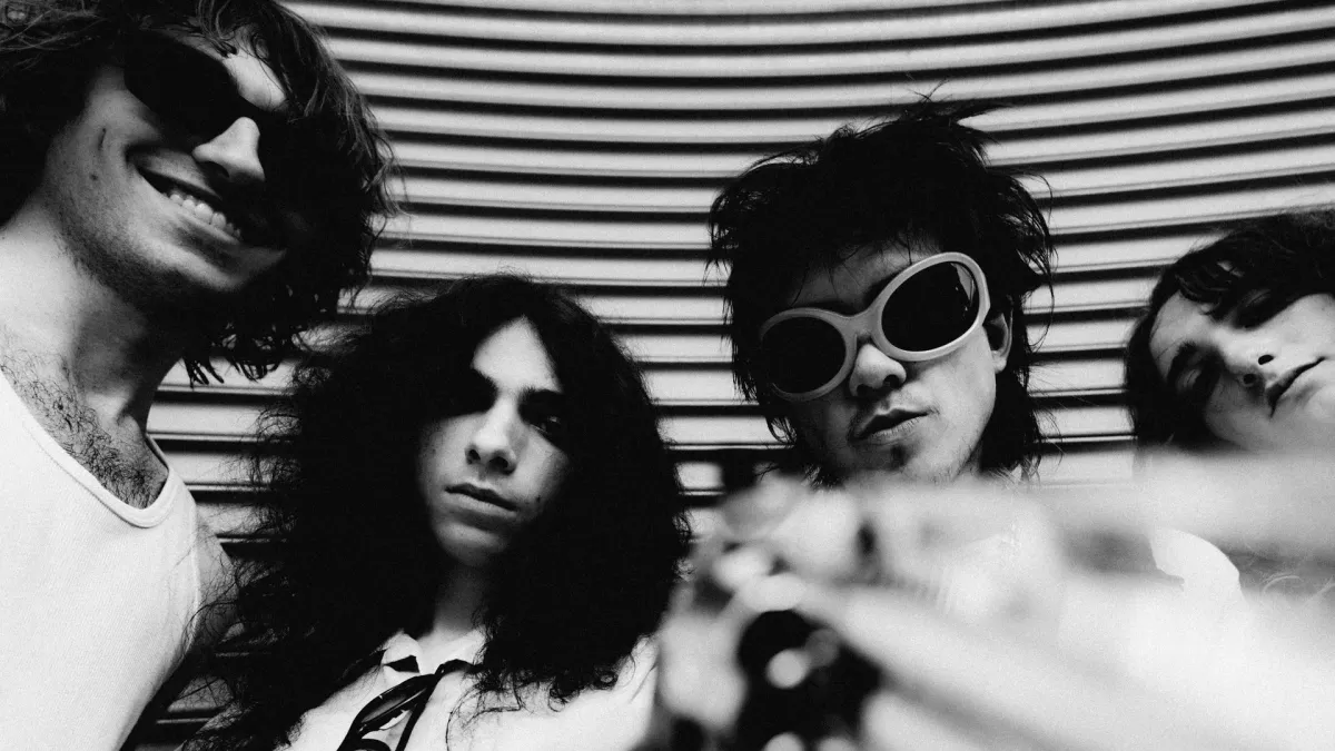 Geese in M\u00fcnchen