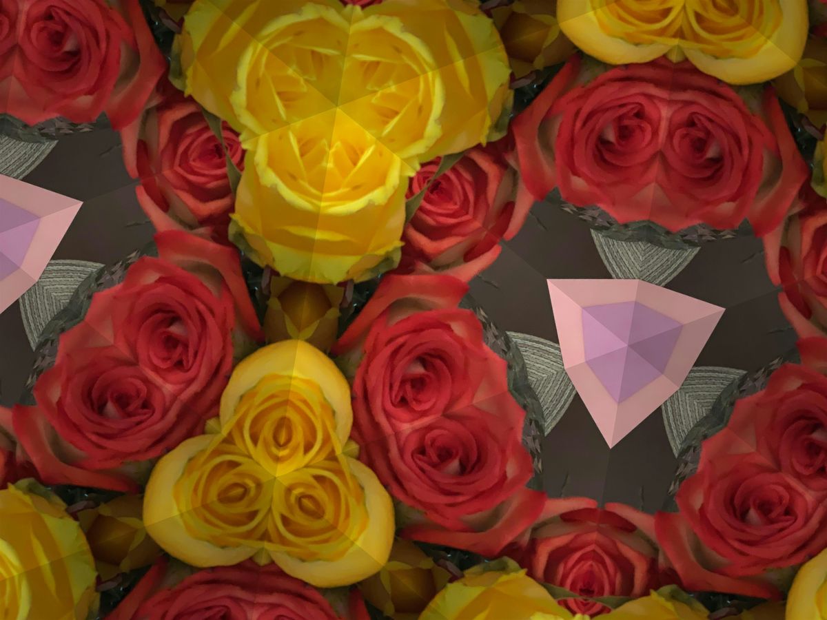 The Winter Solstice Afternoon Tea with Curated Lunch