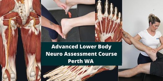 Advanced Lower Body Neuro Assessment Course (Perth, WA)