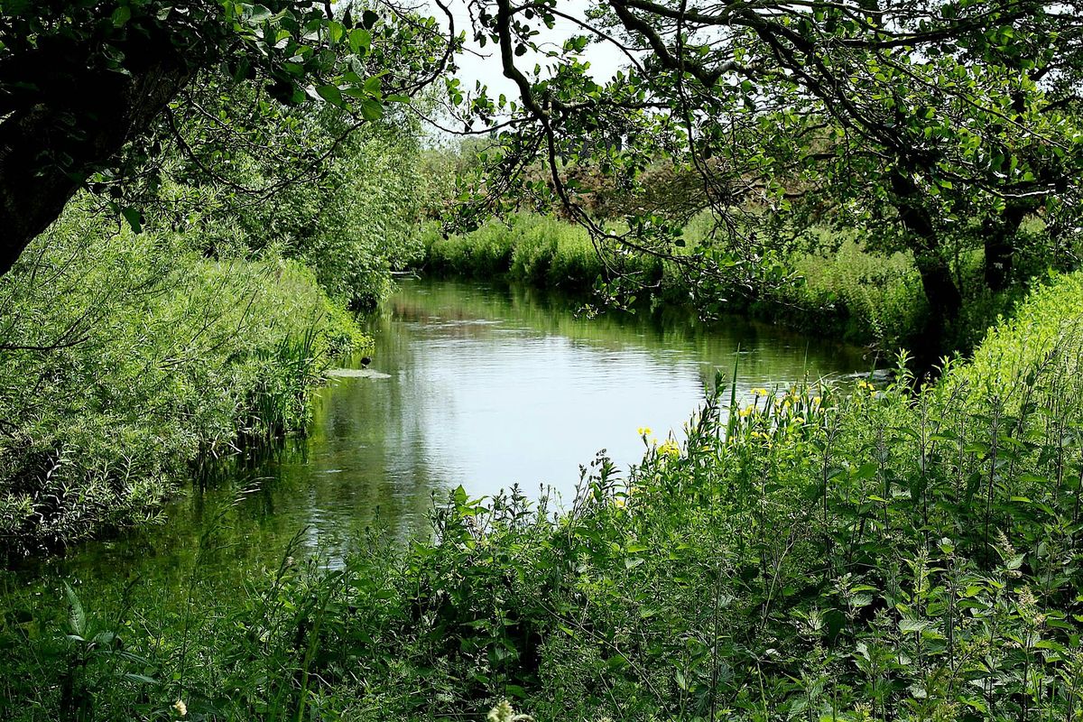 Noticing Nature Journalling Workshop At Idle Valley Nature Reserve 