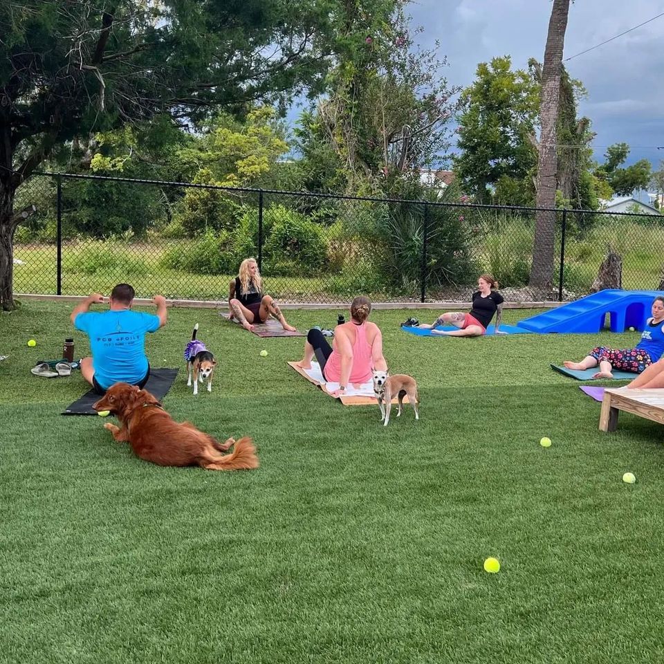 Poses with Pups! | Dogs and Drinks, Panama City, FL | May 18, 2023