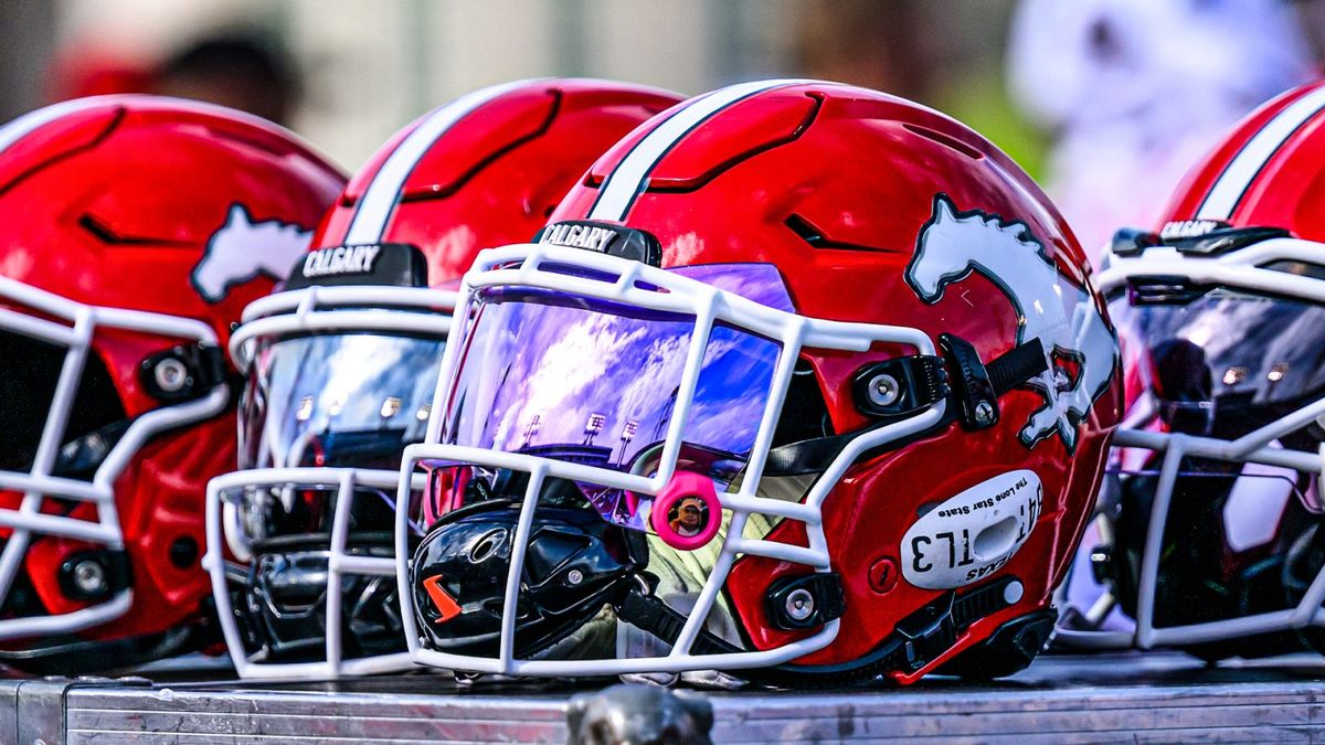 Premium Tailgate Party: New Orleans Saints vs. Atlanta Falcons