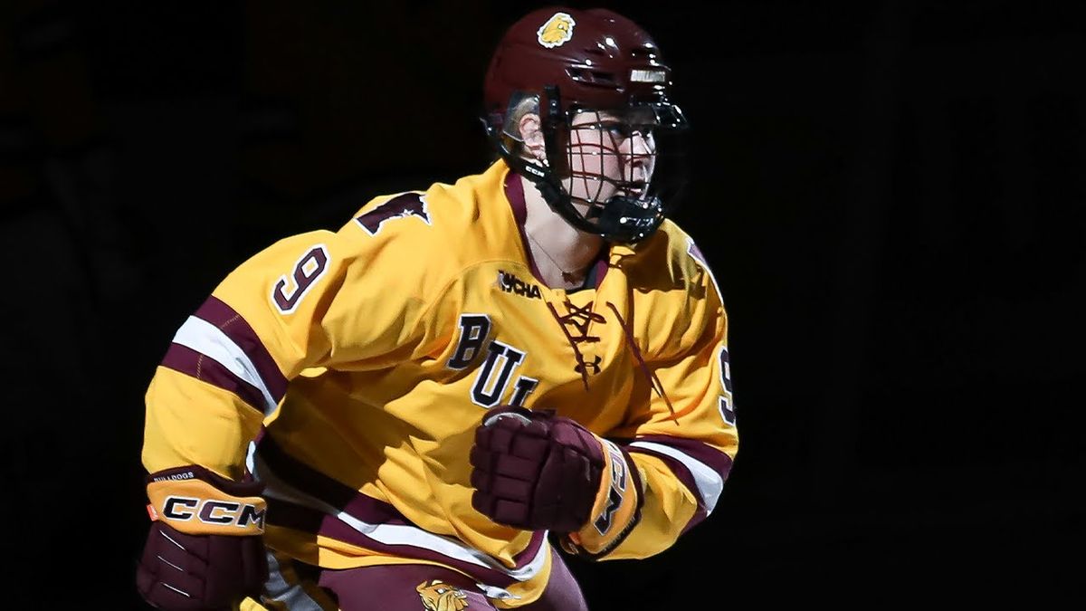 Minnesota Golden Gophers at Minnesota Duluth Bulldogs Womens Hockey at AMSOIL Arena