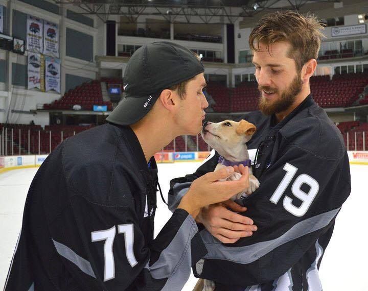 IHS Night with the Idaho Steelheads | Idaho Central Arena, Boise, ID IHS Night with the Idaho Steelheads | Idaho Central Arena, Boise, ID