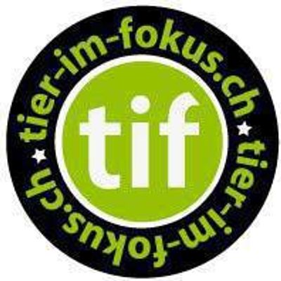 tier-im-fokus.ch (tif)