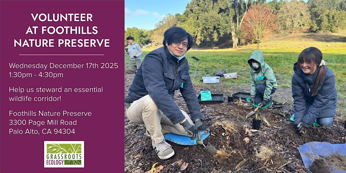Volunteer Outdoors in Palo Alto at Foothills Nature Preserve