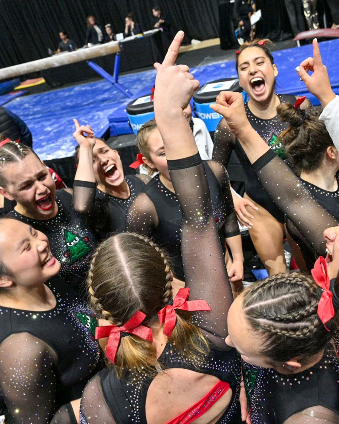 Stanford Cardinal Women's Gymnastics vs. Boise State Broncos