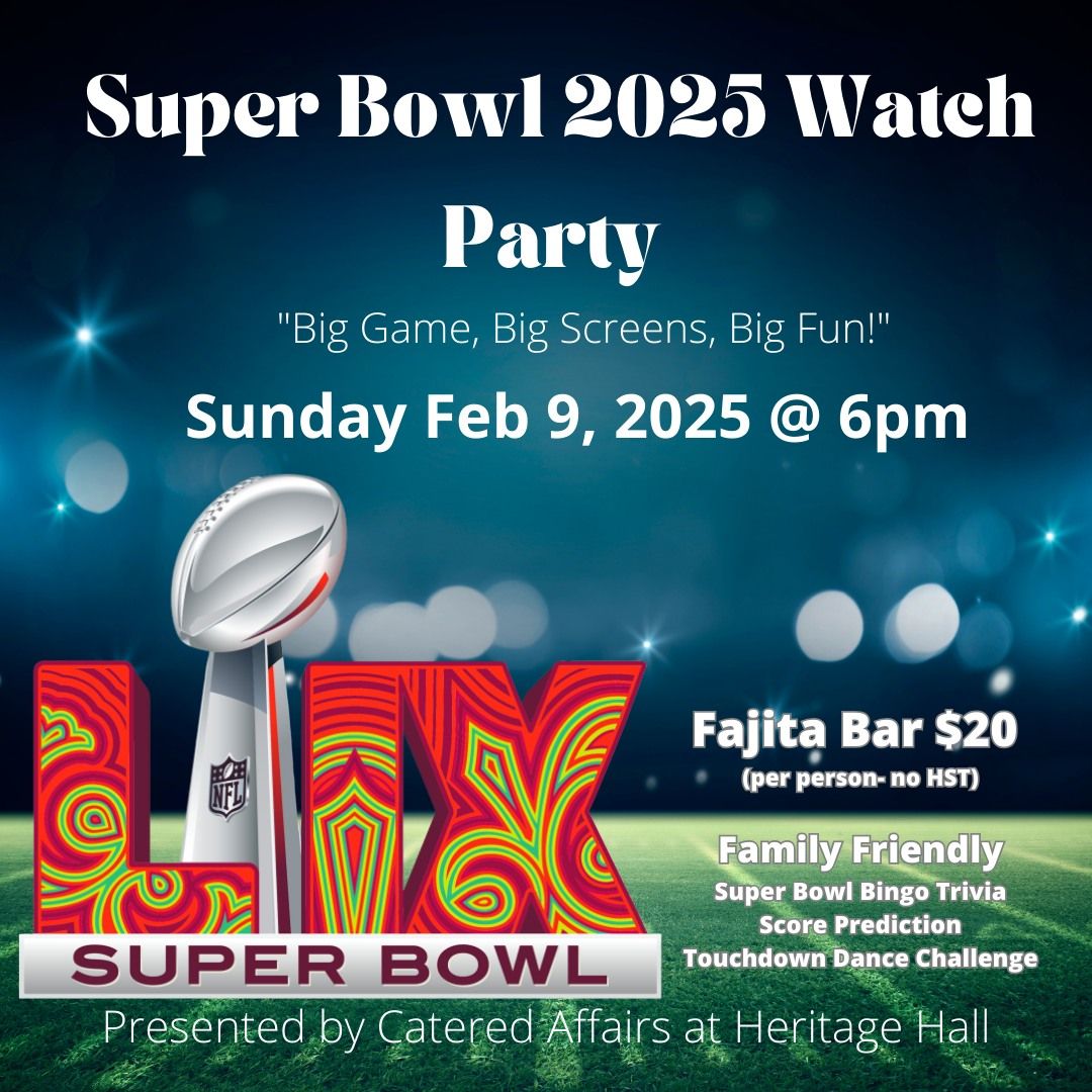 watch super bowl next day