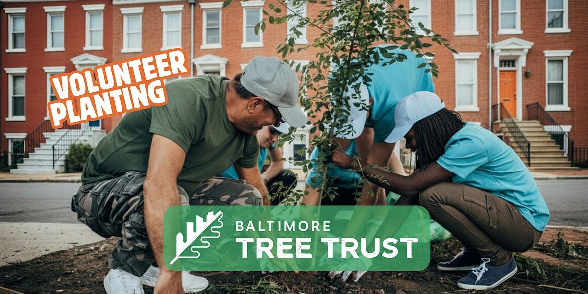 Spring 2026 Tree Planting (Weekday Volunteers)