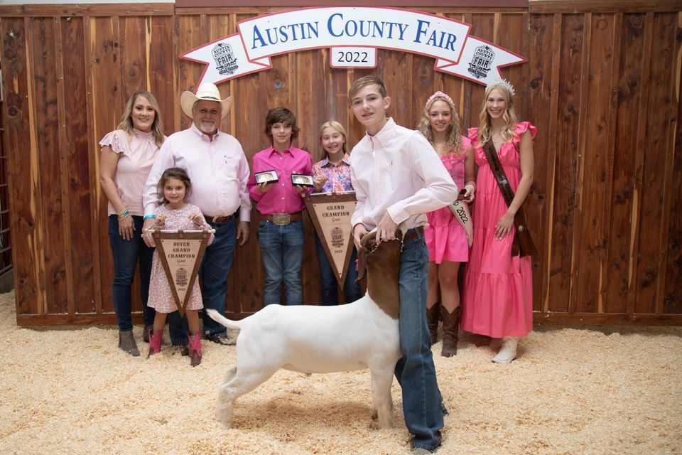 YOUTH LIVESTOCK AUCTION Austin County Fair Association Bellville TX youth-livestock-auction-austin-county-fair-association-bellville-tx