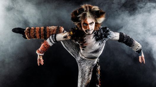 CATS | The Orpheum Theatre-Memphis | March 22 to March 27