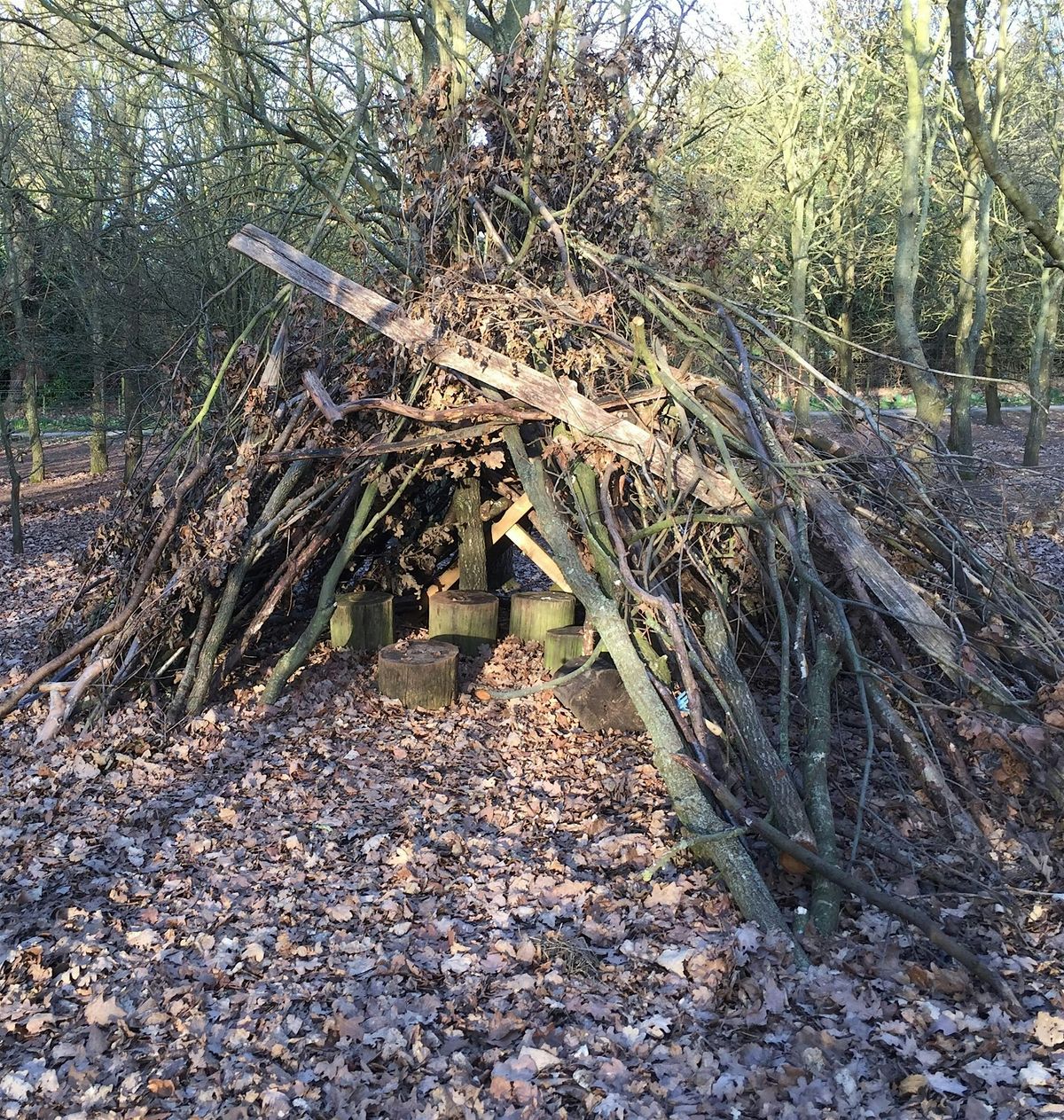 Belfairs Den Building for Families