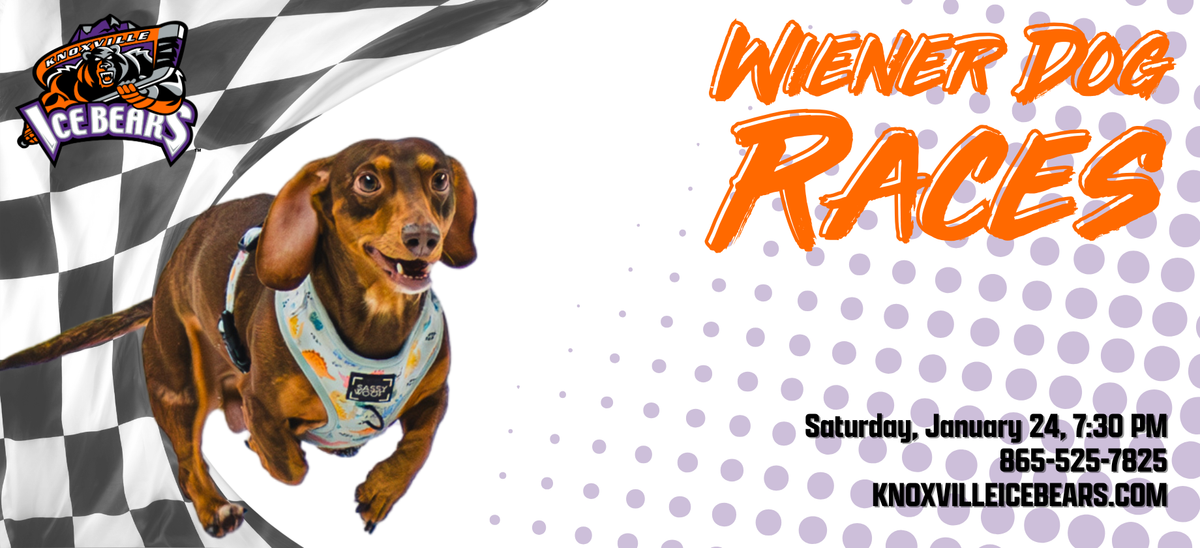 Wiener Dog Races at New Orleans Fairgrounds