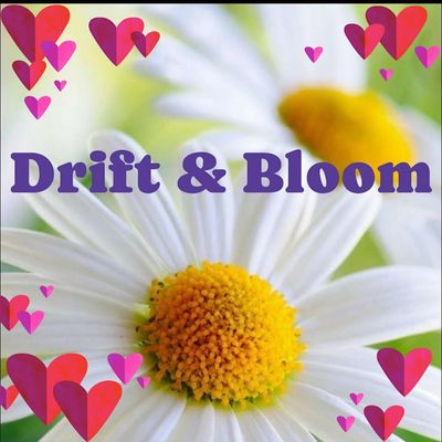 Drift & Bloom