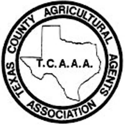 District 11 TCAAA