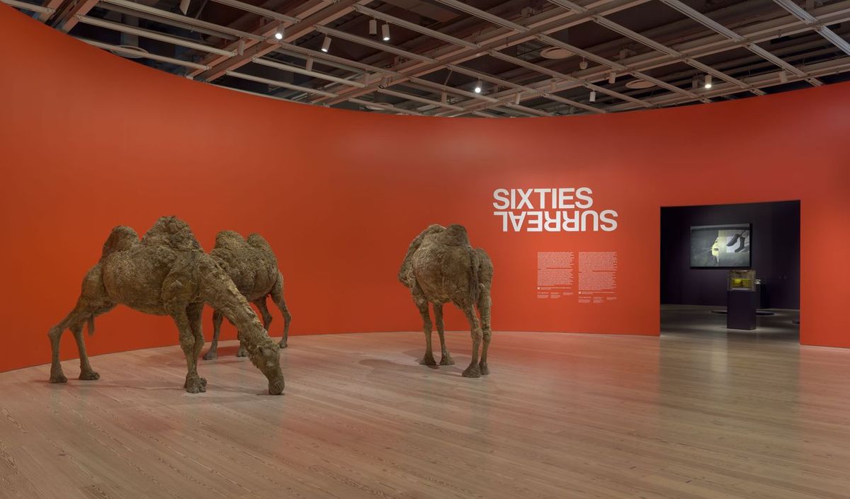 Frank Marino's Divas - Baltimore