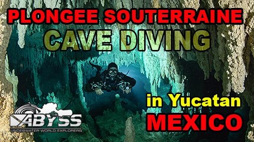 phocea dive playa del carmen