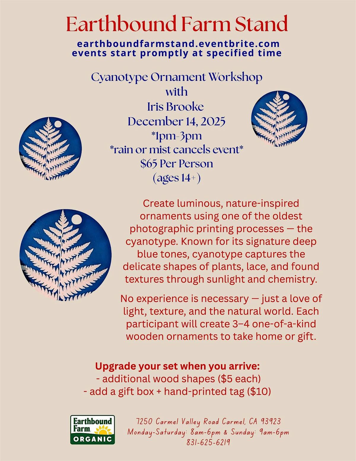 Cyanotype Ornament Workshop