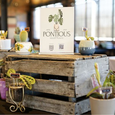 Pontious Plants