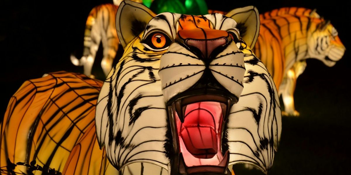 KultureCity Sensory Inclusive Night at Glow Wild