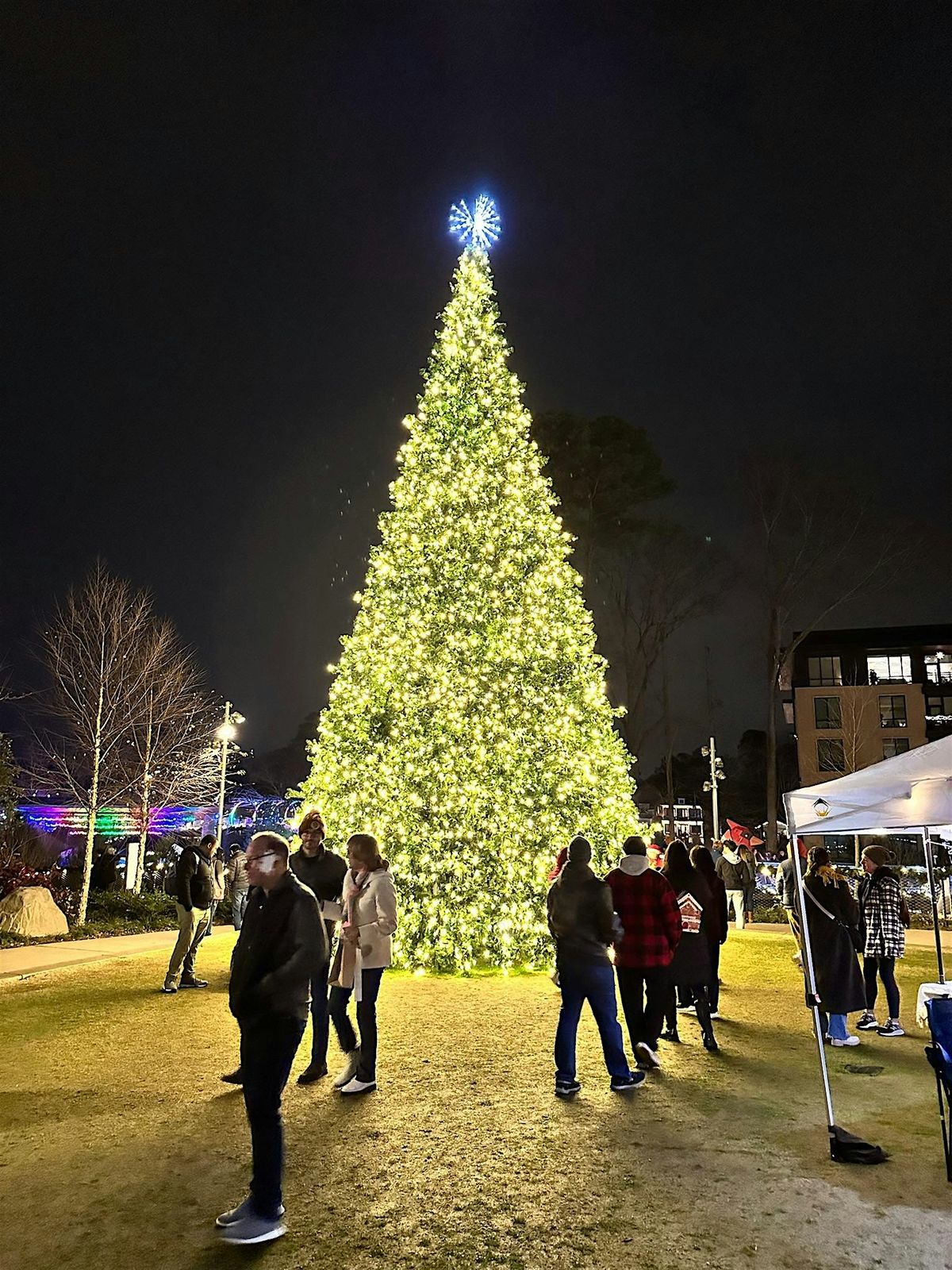 Tree Lighting Holiday Market at Downtown Cary Park