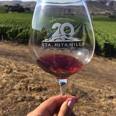 The Sta. Rita Hills Wine Alliance