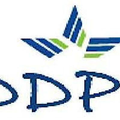 DDPN (Developmental Disabilities Provider Network)