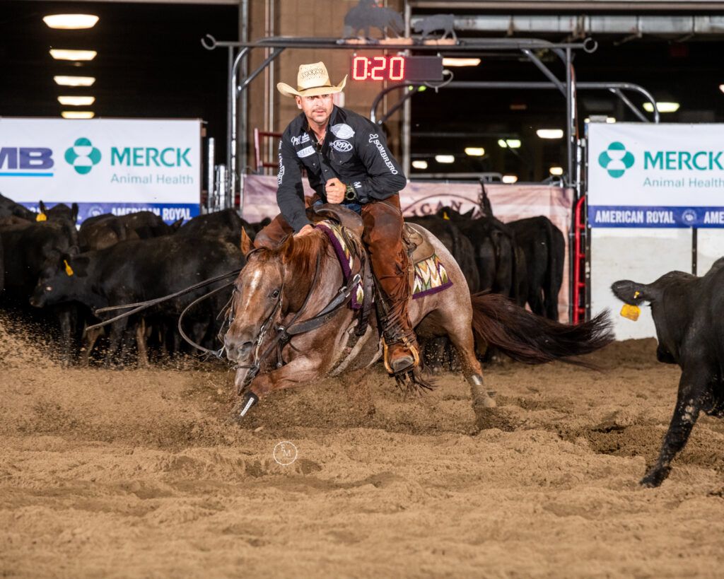 Hilary Watson Memorial Cutting Horse Show at Hale Arena