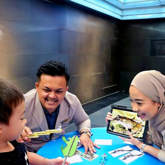 Drawn to the Wild Educational Workshop