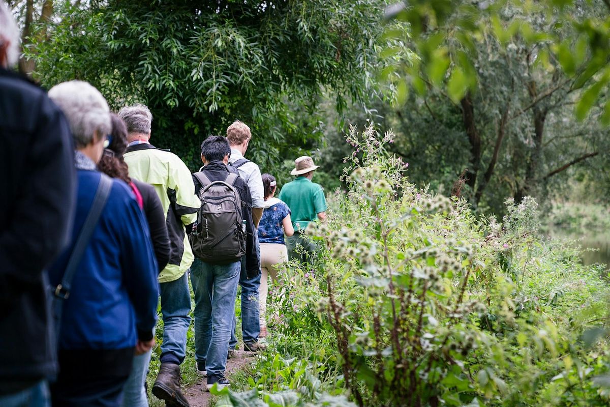 Monthly Meander - Wildflower Wander