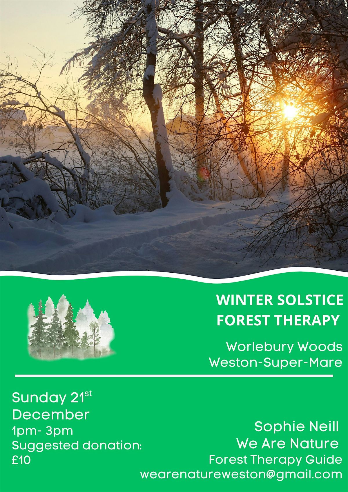 Winter Solstice Forest Therapy