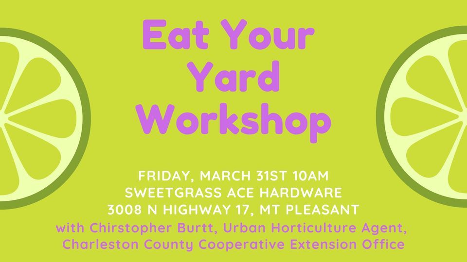 Eat Your Yard Edible Gardening with Chris Burtt Sweetgrass Ace
