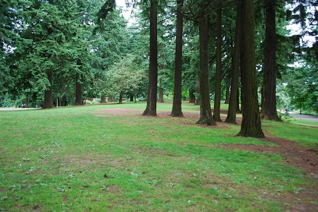 Week 5: Creative Writing and Nature Play Summer Camp