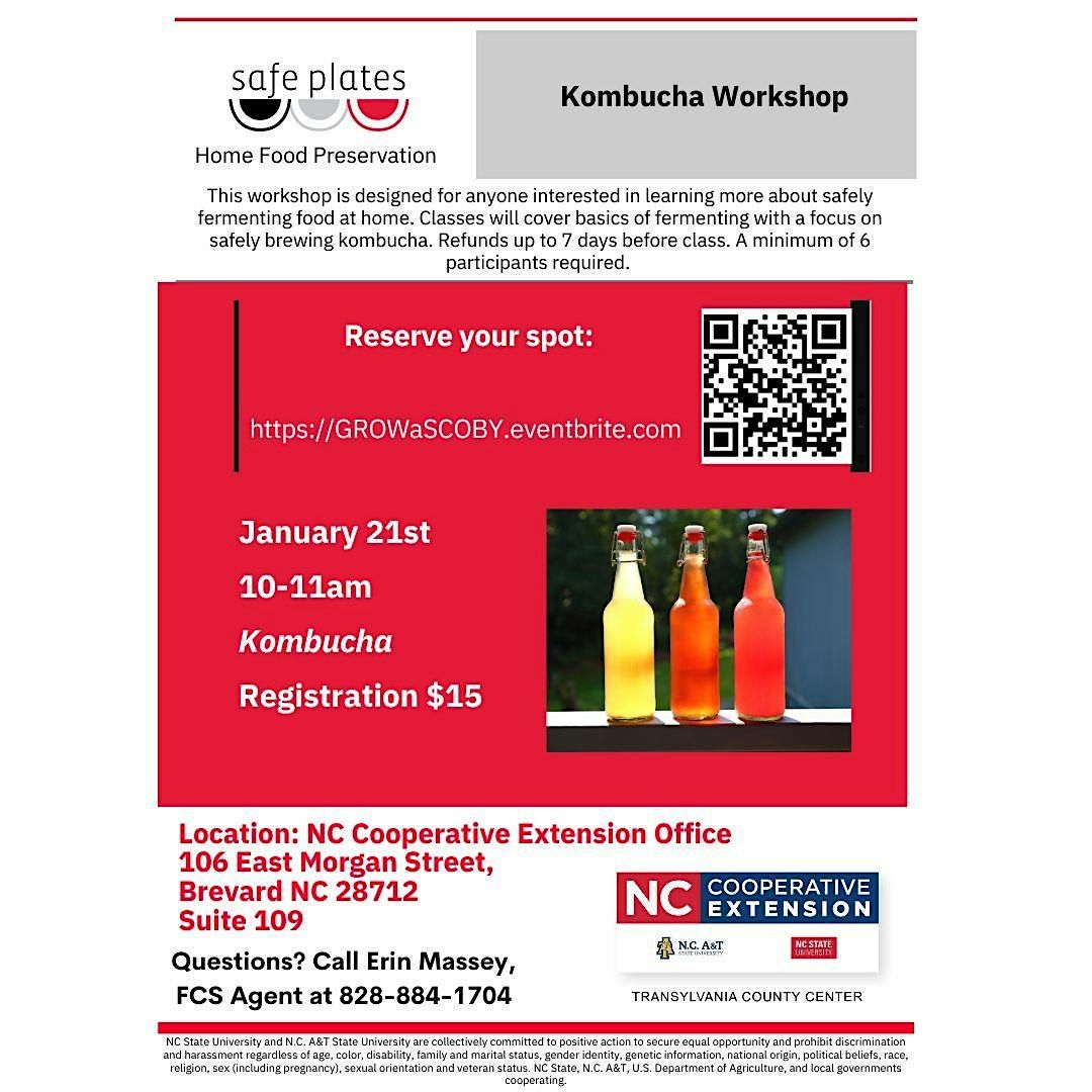 Kombucha Workshop