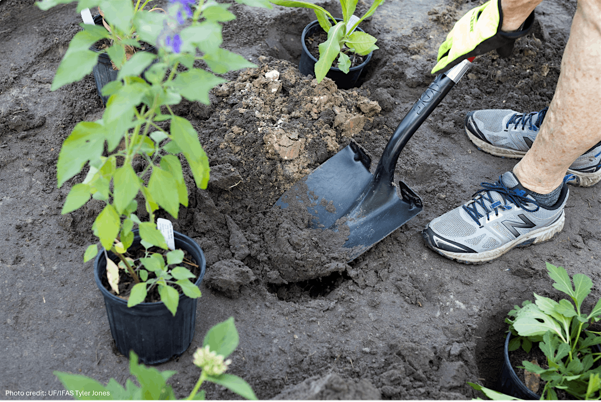 Foundation of a Healthy Garden @ Rotary Park