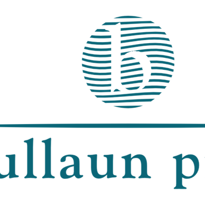 BullaunPress