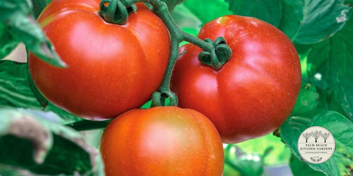 Winter Gardening in South Florida at Palm Beach Kitchen Gardens