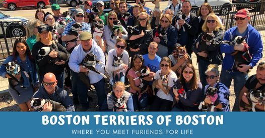 National Boston Terrier Day