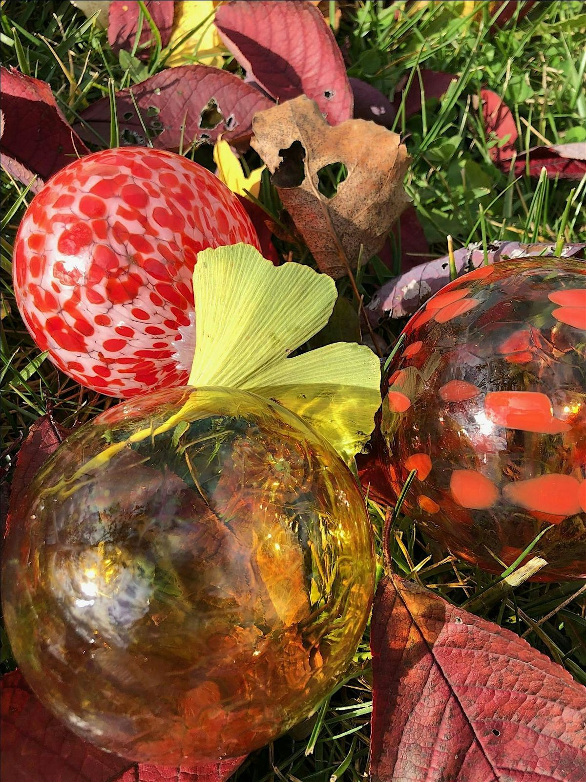 Ornaments! In your best colors! created this season out of Hot Glass.