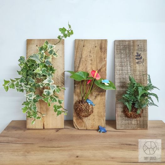 9月植物手作課程 高雄 Bunny Walking Coffee P Ing Tung Tw September 25 To September 26 9月植物手作課程 高雄 Bunny Walking Coffee P Ing Tung Tw September 25 To September 26