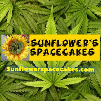 Sunflower Spacecakes